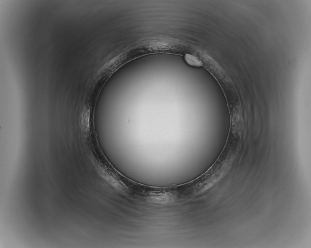 X0000116650454200912211450