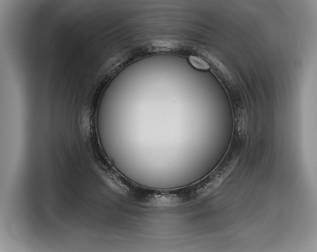 X0000116650455200912211450