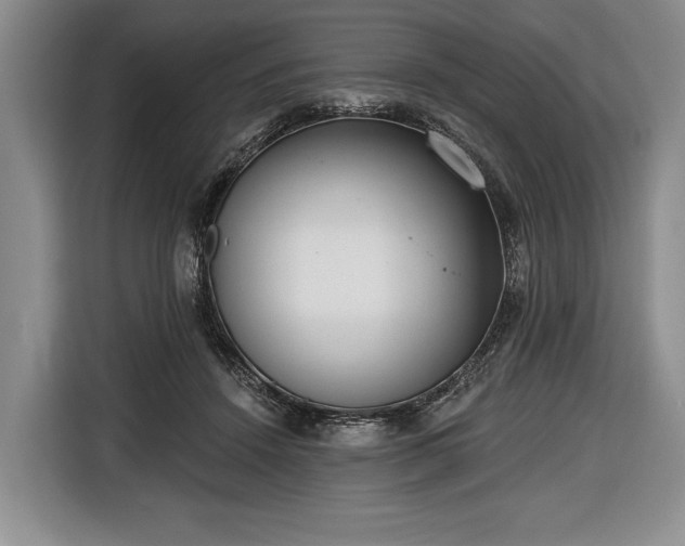 X0000116650456200912211450