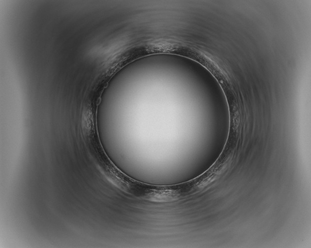 X0000116650459200912211450