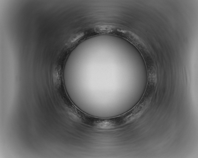 X0000116650460200912211450