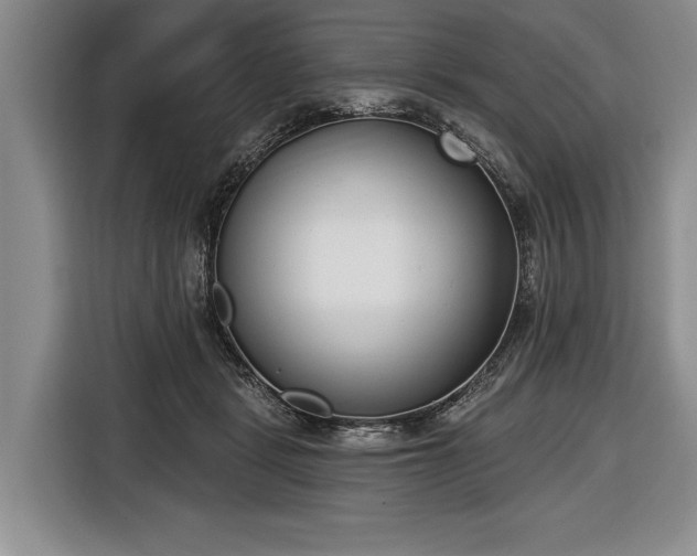 X0000116650461200912211450