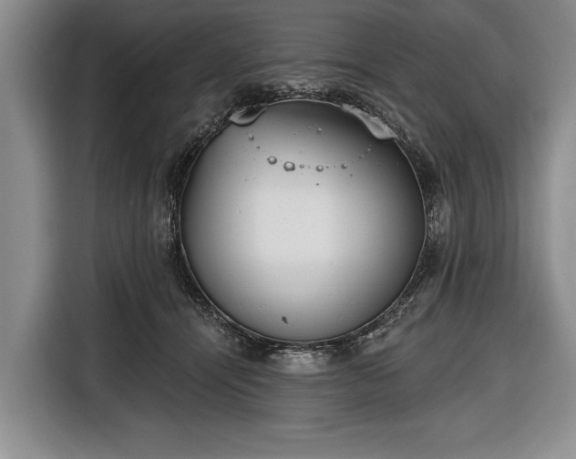 X0000116650464200912211450