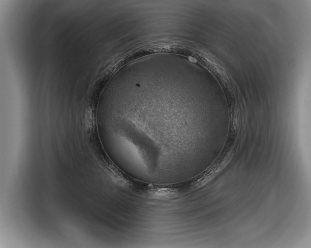 X0000116650467200912211450