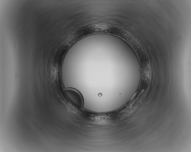 X0000116650468200912211450