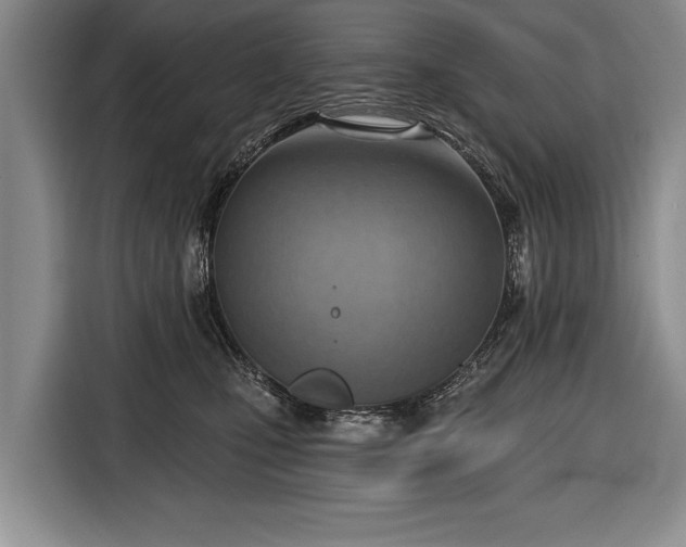 X0000116650471200912211451