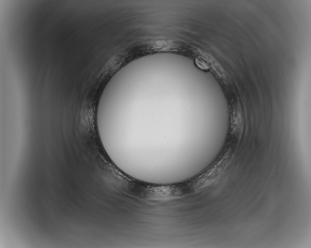 X0000116650473200912211451