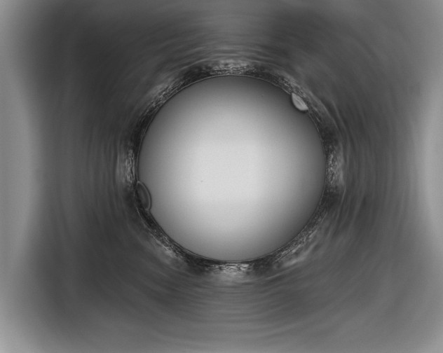 X0000116650474200912211451