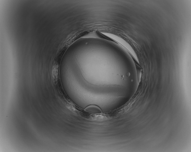 X0000116650475200912211451