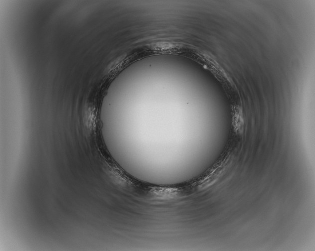X0000116650476200912211451