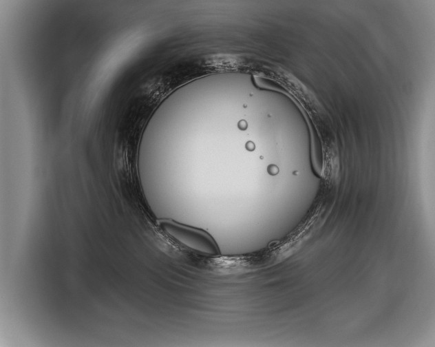 X0000116650477200912211451