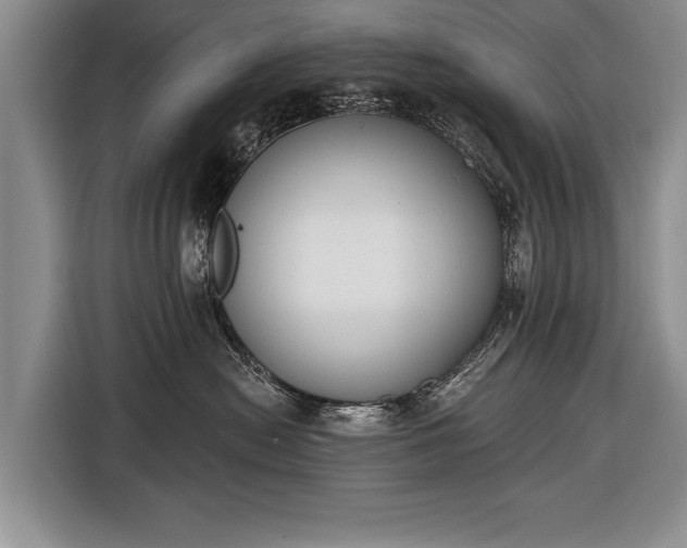 X0000116650478200912211451