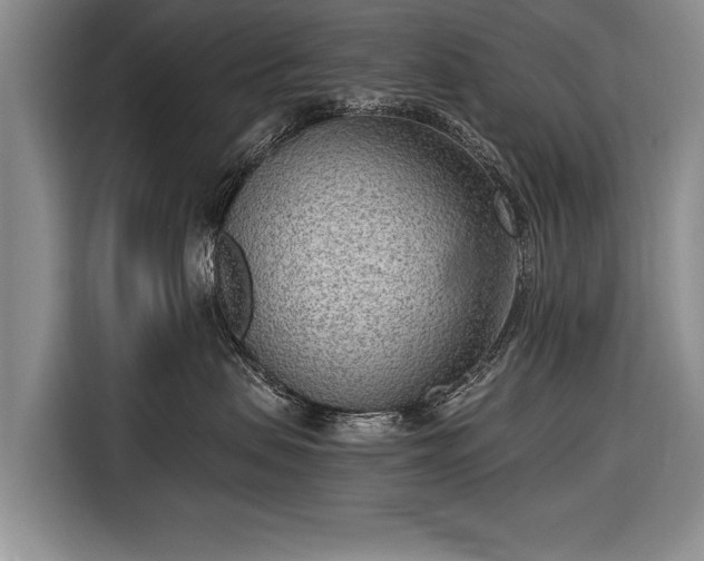 X0000116650479200912211451