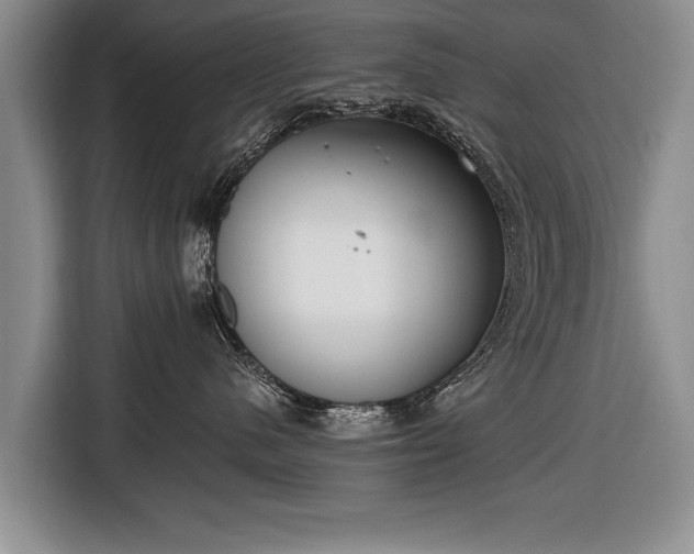 X0000116650480200912211451