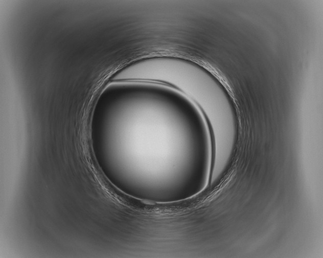 X0000116650481200912211450