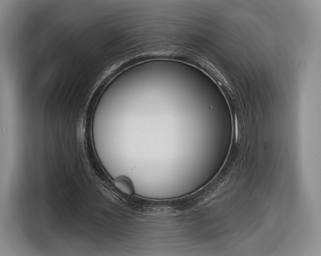 X0000116650483200912211450