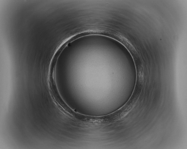 X0000116650484200912211450