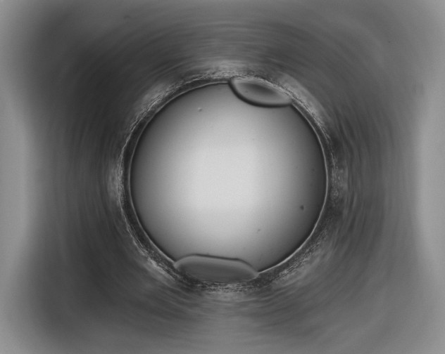 X0000116650485200912211450