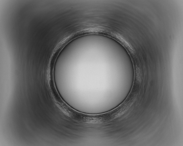 X0000116650486200912211450