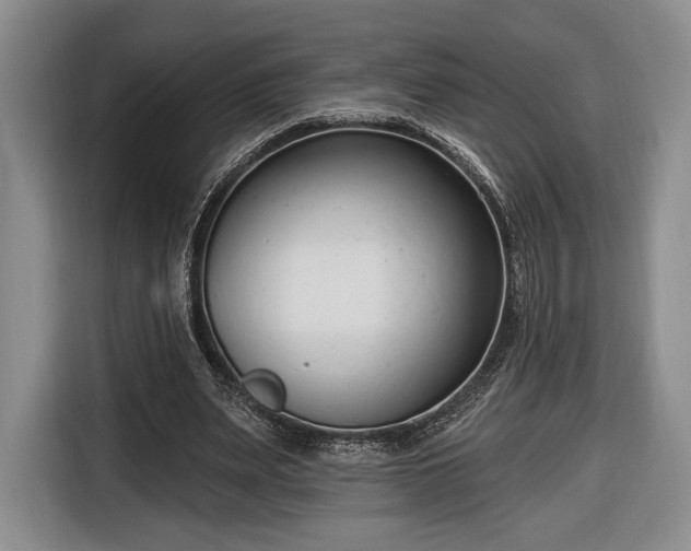 X0000116650487200912211450