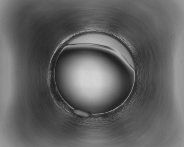 X0000116650488200912211450