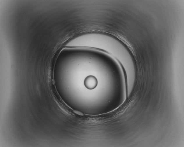 X0000116650489200912211450