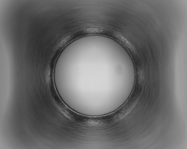 X0000116650490200912211450