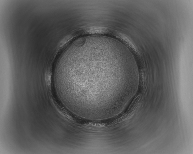 X0000116650491200912211450