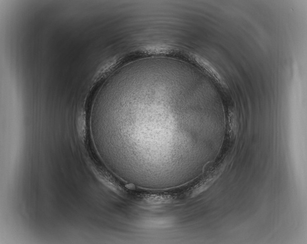 X0000116650494200912211450