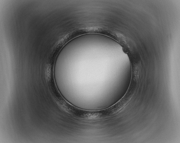 X0000116650495200912211450