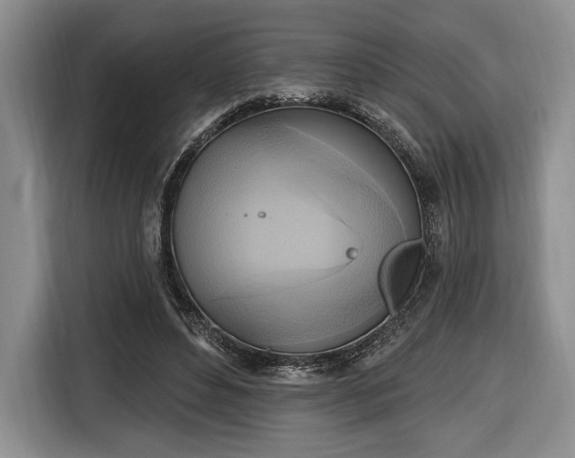 X0000116650496200912211450