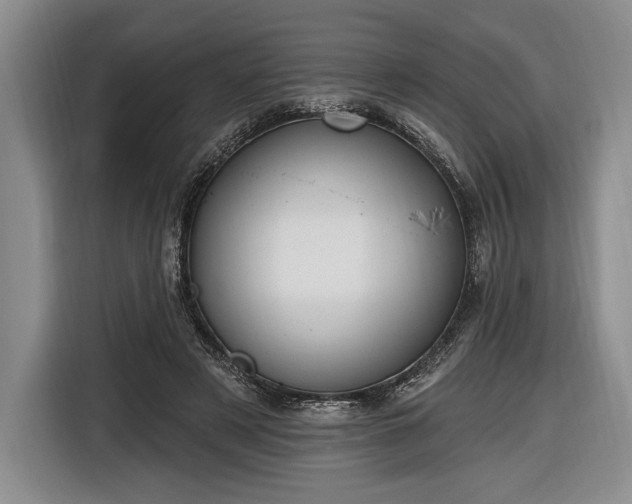 X0000116650497200912211450