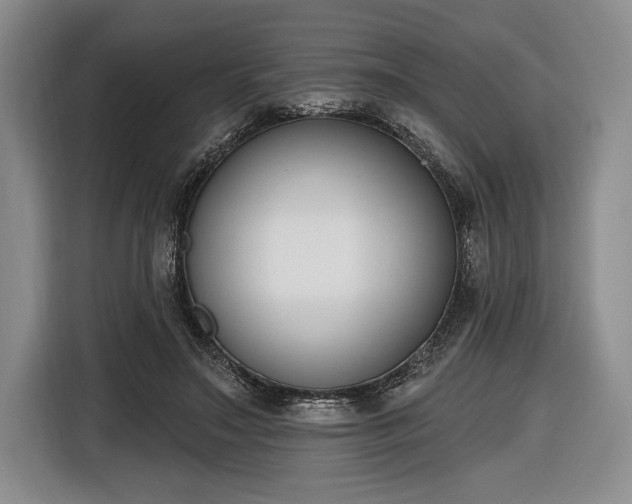 X0000116650499200912211450