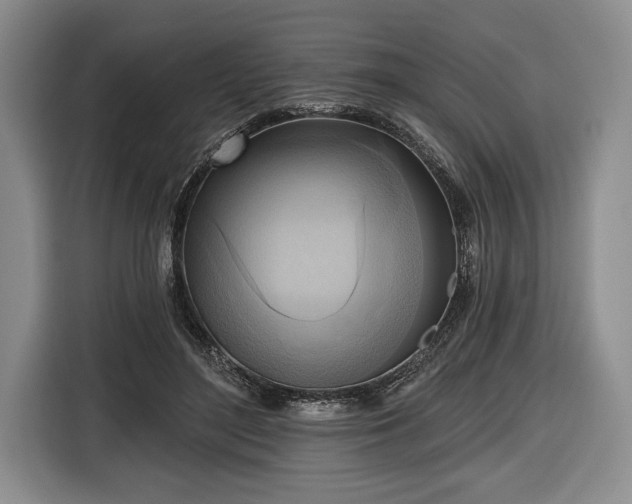 X0000116650500200912211450