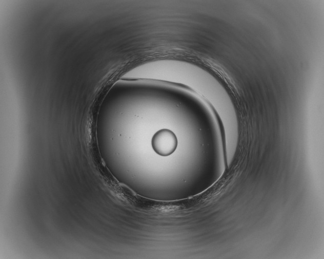 X0000116650501200912211450