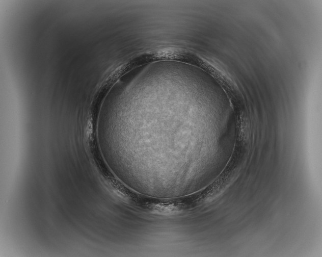X0000116650502200912211450