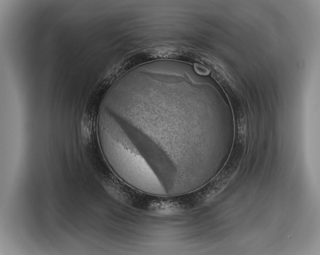 X0000116650503200912211450