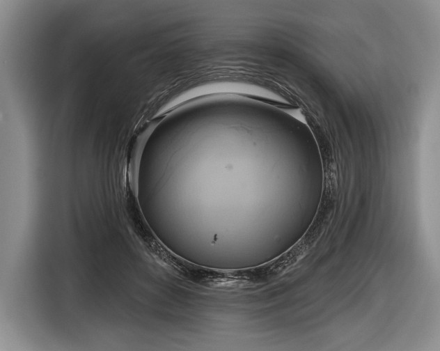 X0000116650504200912211450