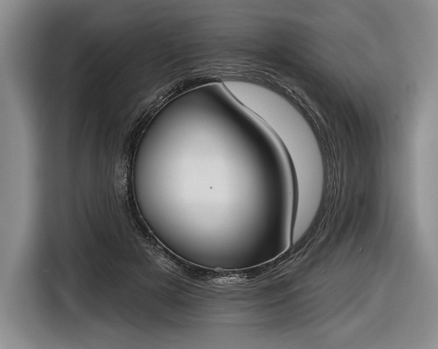 X0000116650505200912211450