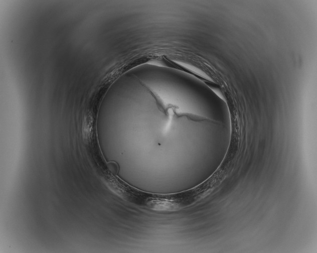 X0000116650507200912211450
