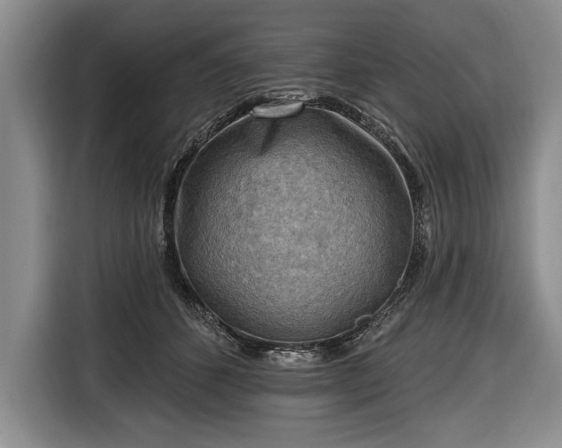 X0000116650512200912211450