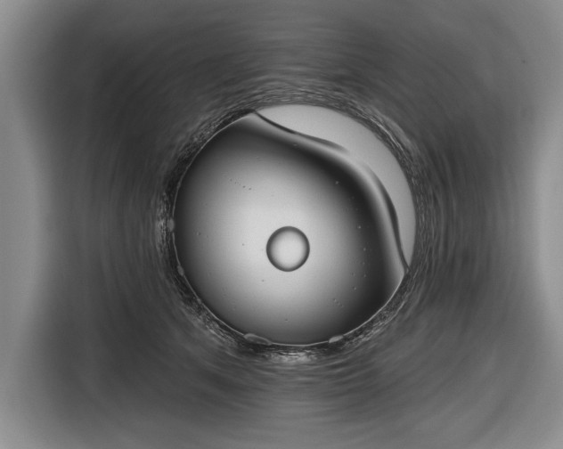 X0000116650513200912211450