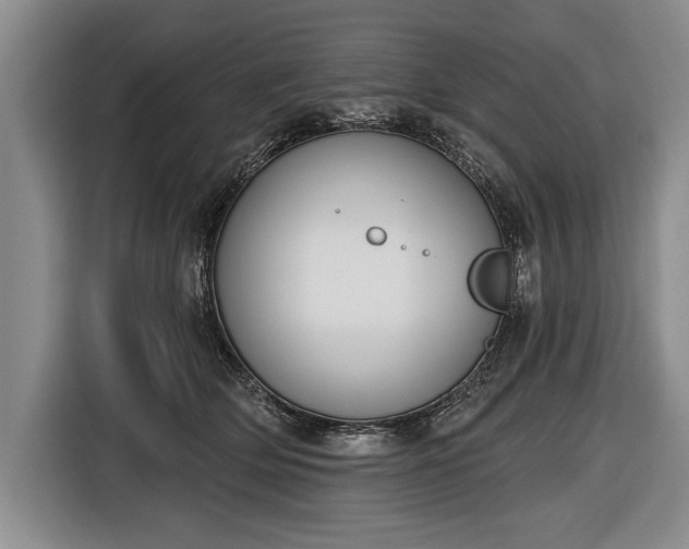 X0000116650514200912211450