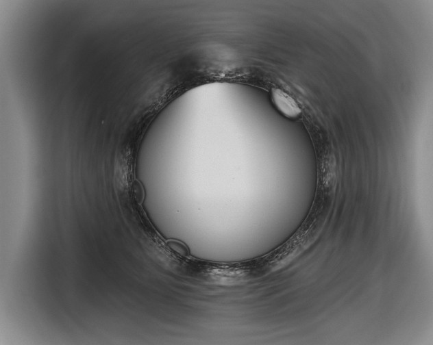 X0000116650515200912211450