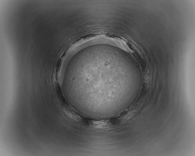 X0000116650516200912211450