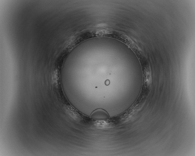 X0000116650519200912211450