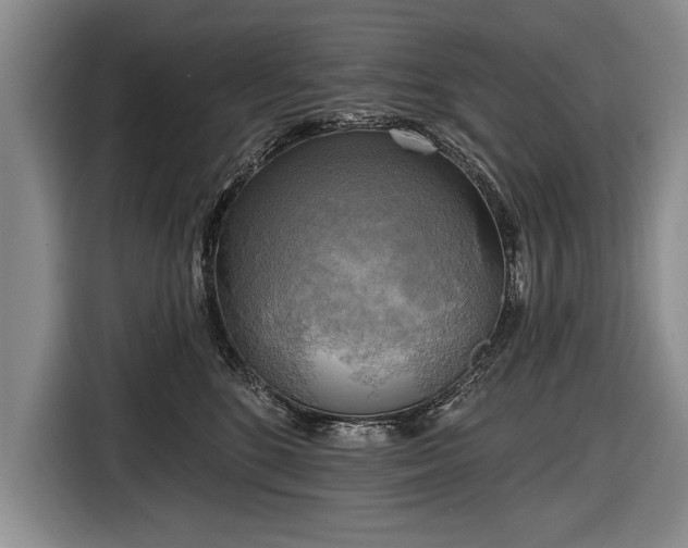 X0000116650520200912211450