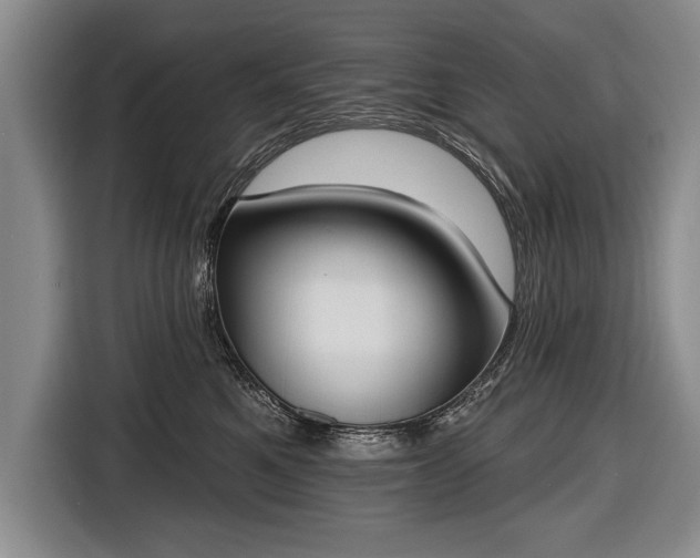 X0000116650521200912211450