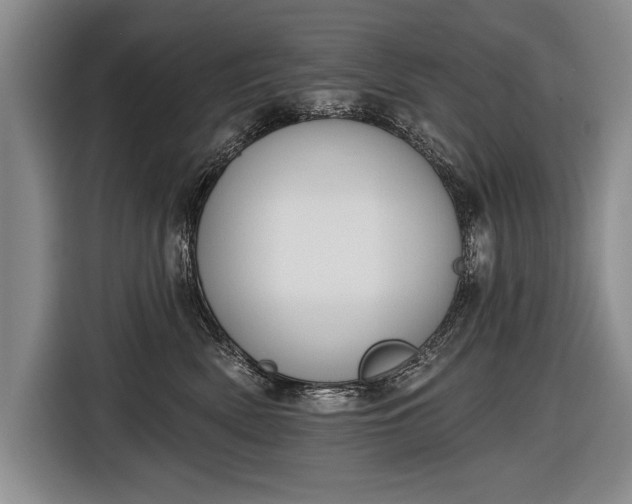 X0000116650522200912211449