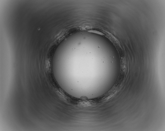 X0000116650523200912211449